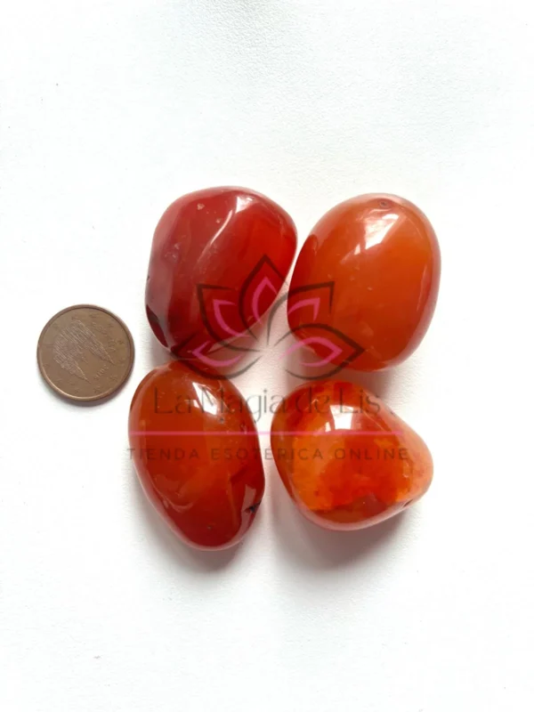 Piedra Cornalina | Protectora y Energizante, Símbolo de Vitalidad